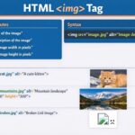 HTML img Tag: How to Use src, alt, and Size